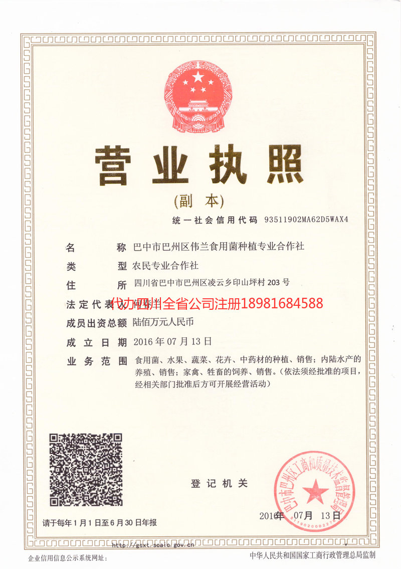 桦甸桦甸伟兰食用菌种植专业合作社